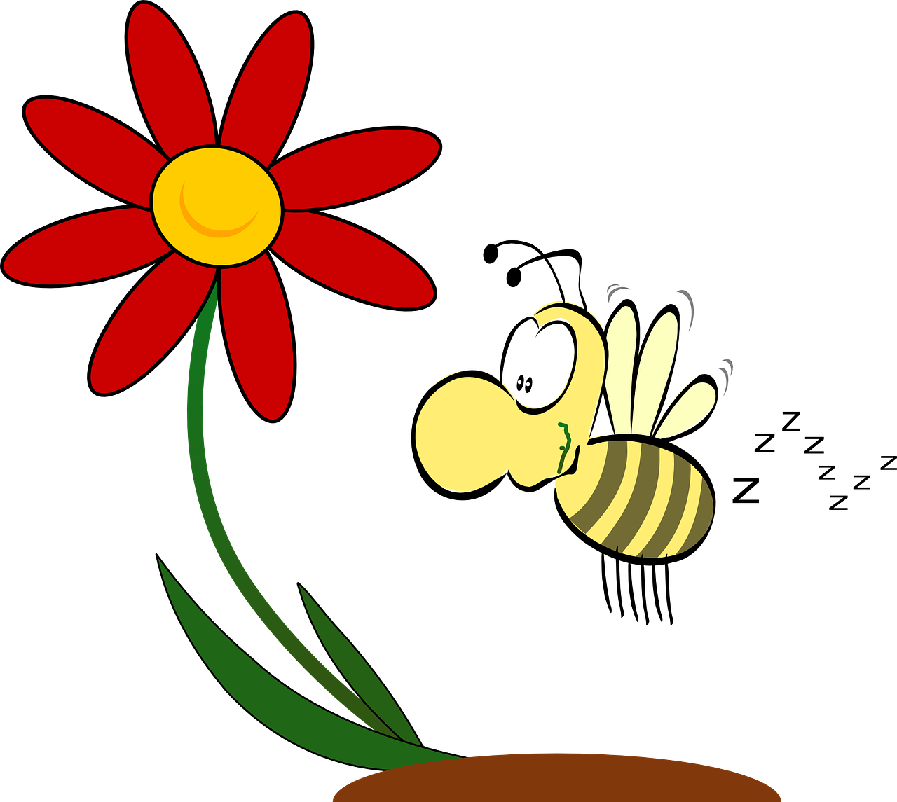 Hier geht es zu den Bienen